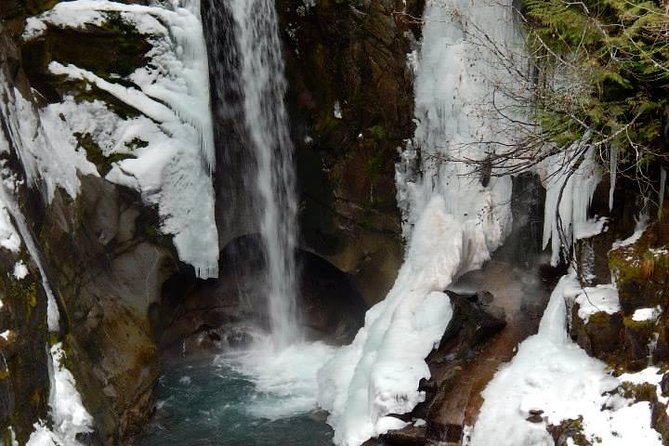 Mt. Rainier National Park Highlights Tour - Longmire gives the mountain a human story