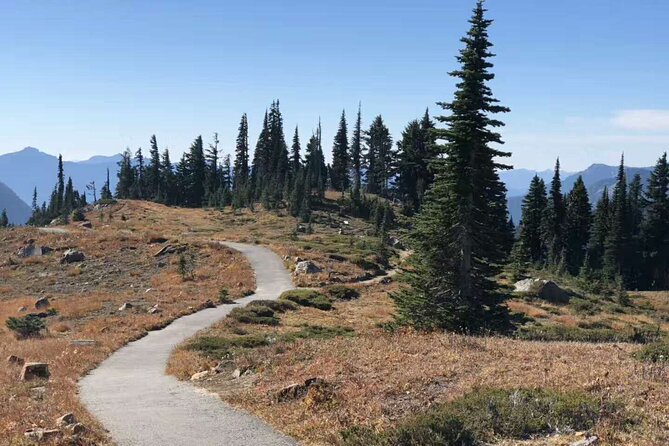Mt Rainier National Park Small Group Day Tour from Seattle 2CanGo - Key things to know before booking