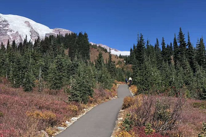Mt Rainier National Park Small Group Day Tour from Seattle 2CanGo - Narada Falls brings the sound and force