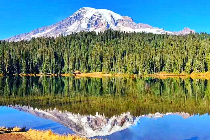 Mt Rainier National Park Small Group Day Tour from Seattle 2CanGo - Paradise is the main event in summer