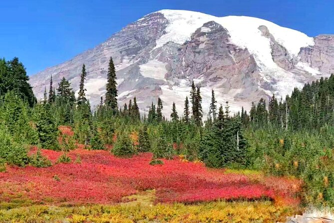 Mt Rainier National Park Small Group Day Tour from Seattle 2CanGo - Winter Rainier means flexibility
