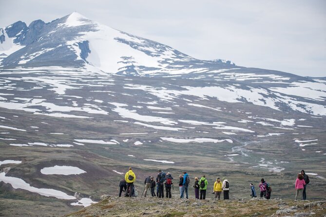 Musk ox Safari in Dovrefjell National Park, Oppdal Safari - Scenery beyond the animals