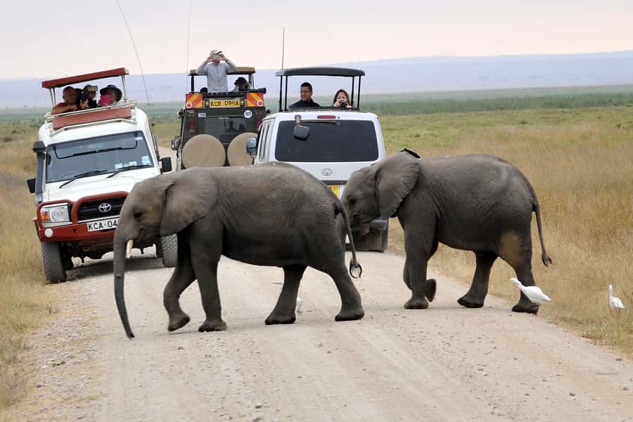 Nairobi: Amboseli National Park Day Trip with Masai Village - Observation Hill gives the day a better rhythm