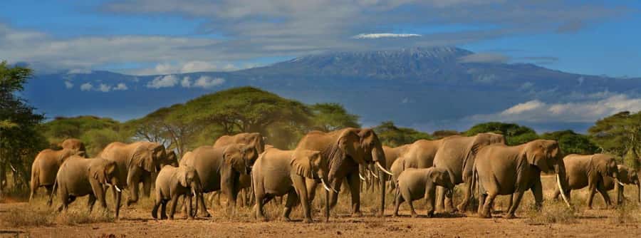 Nairobi: Amboseli National Park Day Trip with Masai Village - Is $190 a fair price?