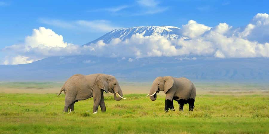 Nairobi: Amboseli National Park Day Trip with Masai Village - The Nairobi departure and the long road south
