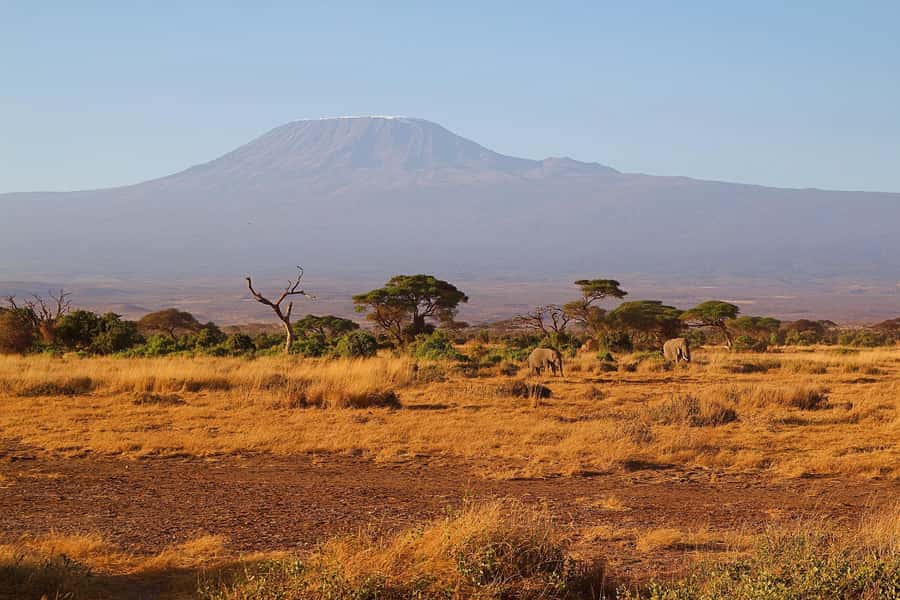 Nairobi: Day Tour to Amboseli National Park & Maasai Village - Who should choose this day tour