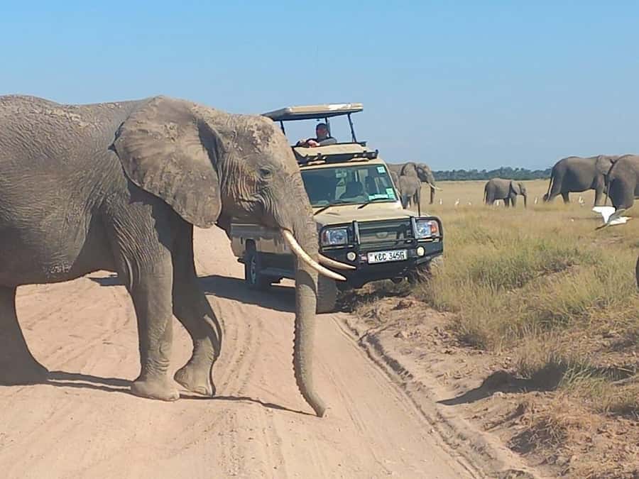 Nairobi:Day trip to Amboseli National park & Maasai village - Leaving Nairobi for the Kenyan countryside