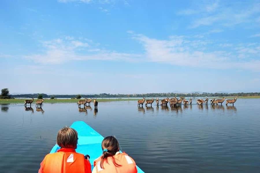Nairobi: Nakuru National Park and Lake Naivasha Day Tour - How the timing affects the experience