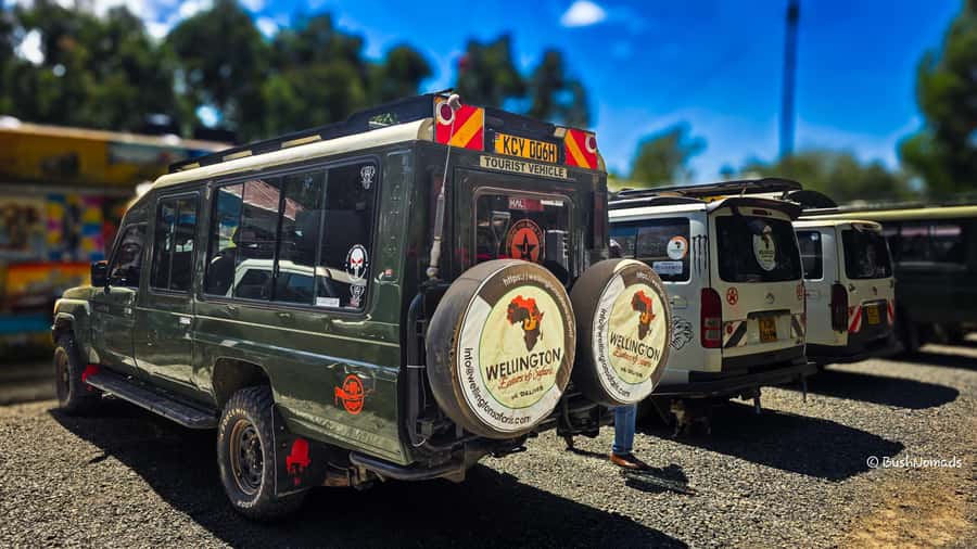 Nairobi National Park 5-hour Guided Game Drive Free Pick up - Group size, private options, and comfort