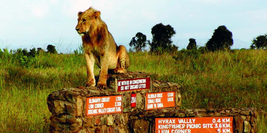 Nairobi National Park –Adventure at City’s Edge Free PickUp - Key points at a glance