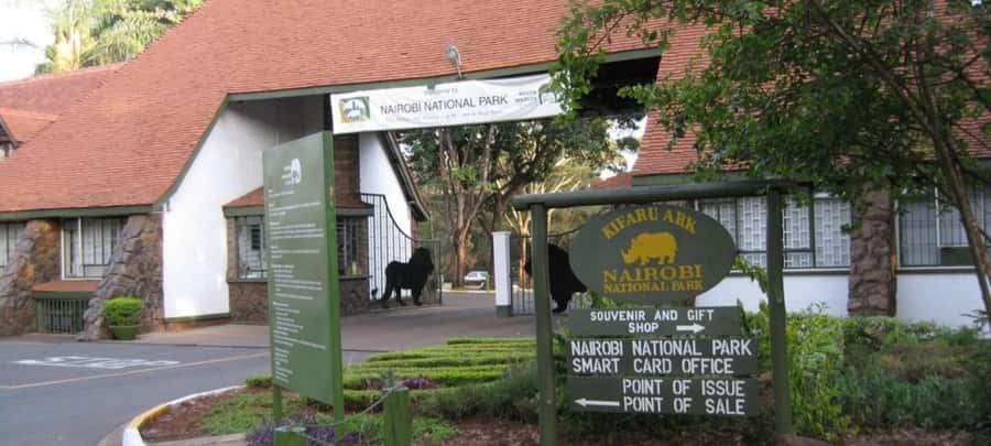Nairobi National Park –Adventure at City’s Edge Free PickUp - Four hours among rhinos, lions, and open grassland
