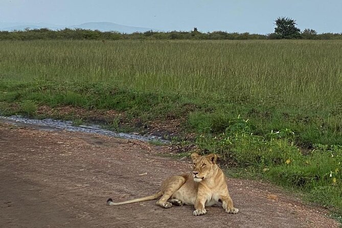 Nairobi national park and Giraffe center - A city safari with real wildlife potential