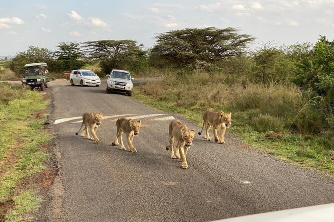 Nairobi national park and Giraffe center - Two hours at the Giraffe Centre