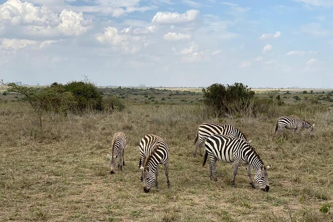 Nairobi national park and Giraffe center - Timing, pickup, and the shape of the day