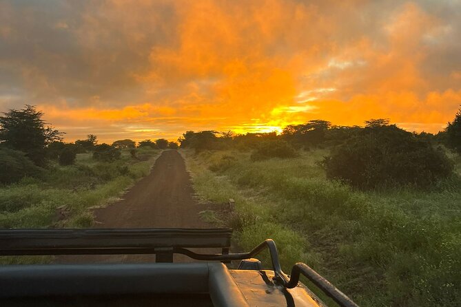 Nairobi National Park Daily Game drives. - The $60 price and what it does not include