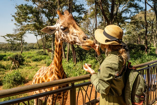 Nairobi National Park, Elephant Orphanage and Giraffe Centre - Key Points Before You Book