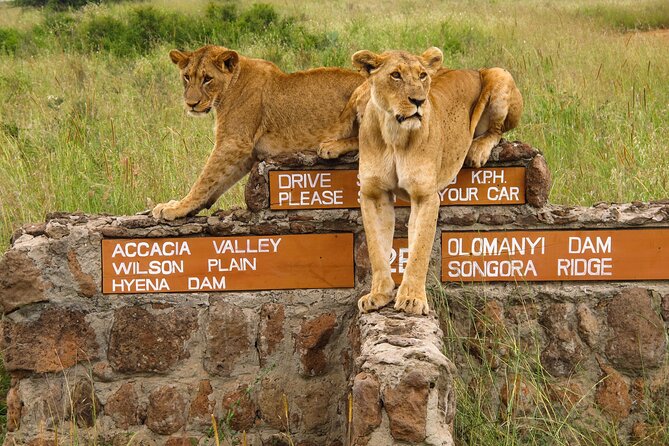 Nairobi National Park, Elephant Orphanage and Giraffe Centre - Starting Early From Nairobi