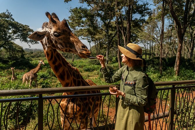 Nairobi National Park, Elephant Orphanage and Giraffe Centre - Lunch and the Pace of a Long Day