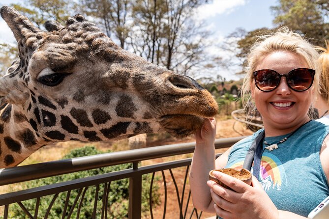 Nairobi National Park, Elephant Orphanage and Giraffe Centre - What the Tour Really Costs
