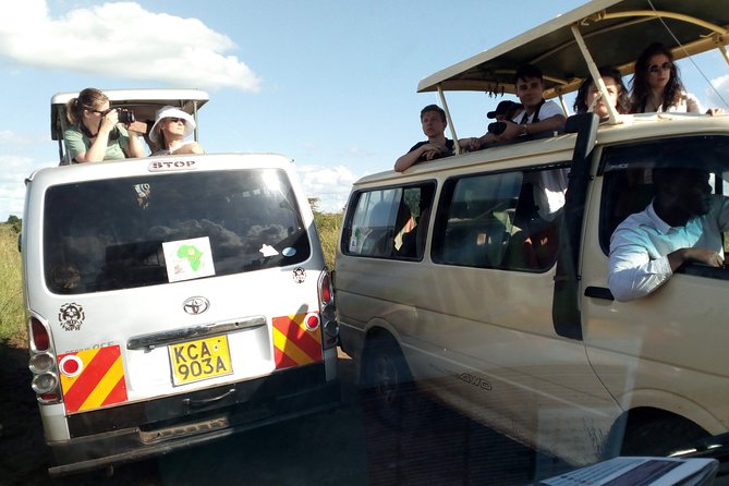 Nairobi National Park Half-Day Tour; Free Wi-Fi connection - The David Sheldrick Elephant Orphanage: A Different Kind of Wildlife Visit