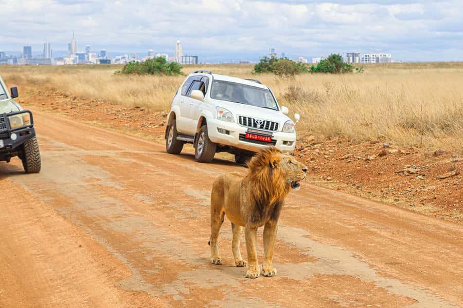 Nairobi: National Park Private Tour in 4X4 Jeep - Entering through the park gate