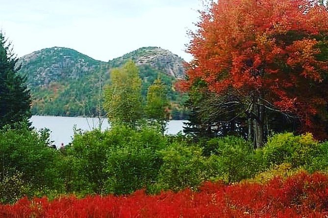 Narrated Bus Tour of Bar Harbor and Acadia National Park - The narration is more than background noise