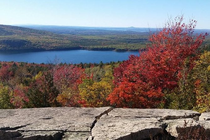 Narrated Bus Tour of Bar Harbor and Acadia National Park - Why the bus matters in Acadia