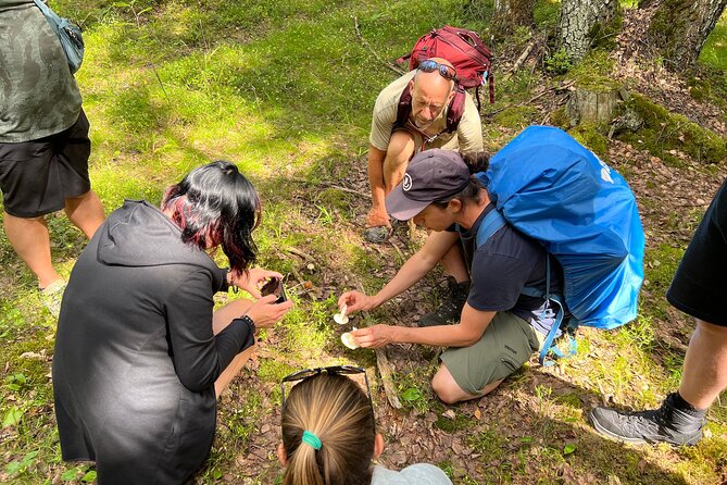 National Park Hike & Finnish Smoke Sauna Experience with Campfire Lunch - Returning through the forest before the sauna