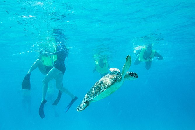 National Park Snorkeling Excursion - Key points at a glance