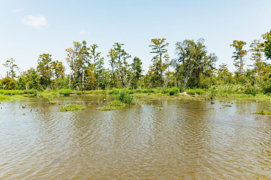 New Orleans: Bayou Tour in Jean Lafitte National Park - What the $32 price really gets you