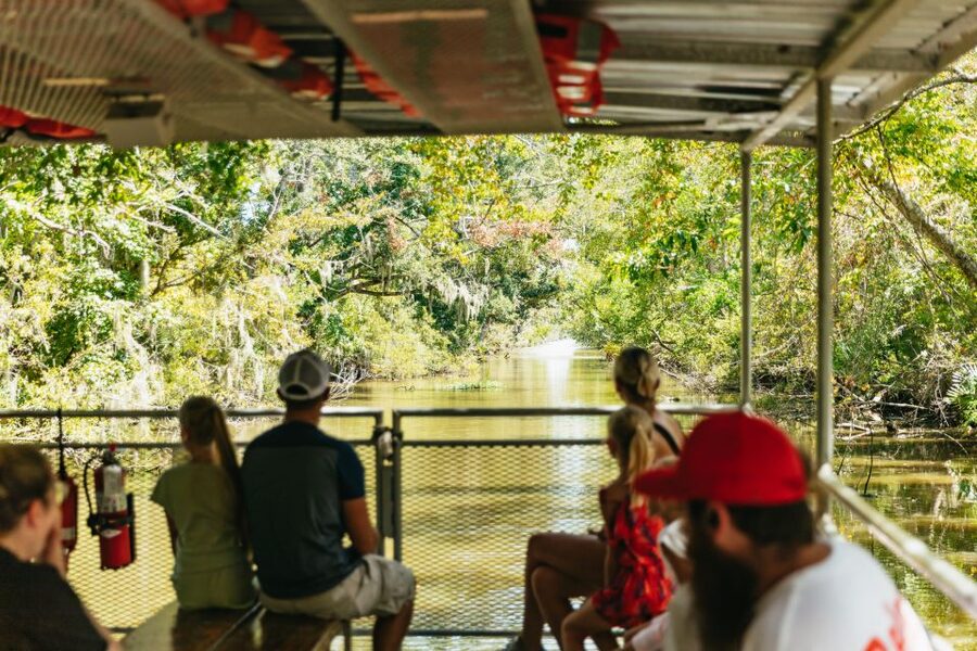 New Orleans: Bayou Tour in Jean Lafitte National Park - Families, wheelchair users, and practical comfort