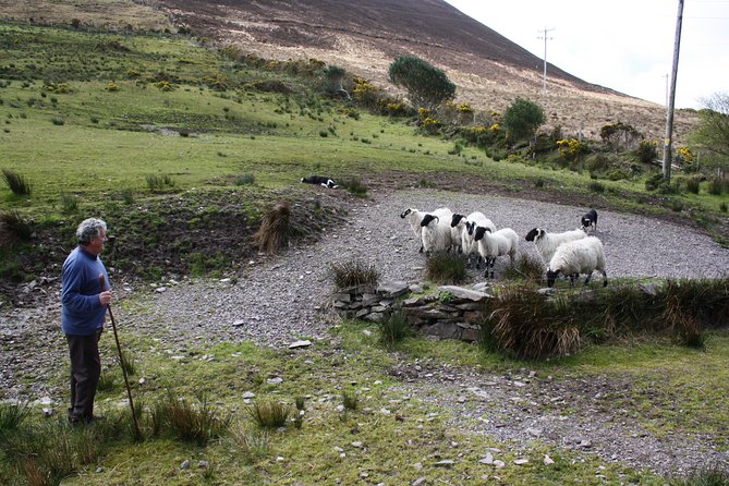 NO 1 Ring of Kerry Tour inc Killarney Lakes & National Park - Cahersiveen, O’Connell, and the Iveragh Peninsula