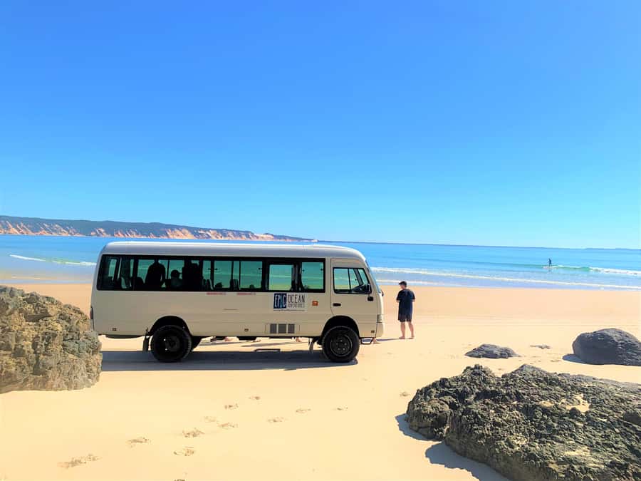 Noosa: Epic Ocean Kayak with Dolphins & 4WD Beach Adventure - Who will enjoy this most