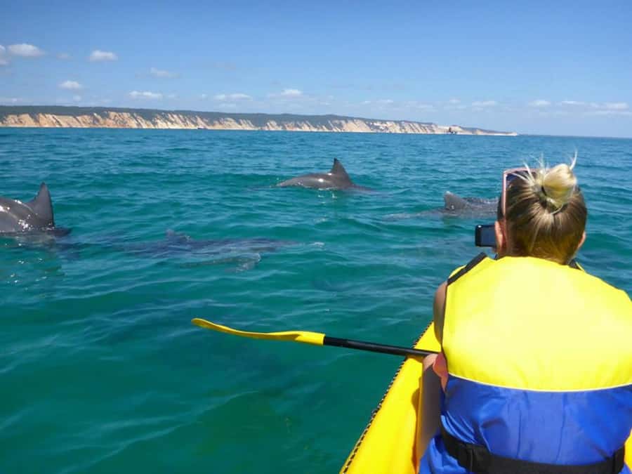 Noosa: Epic Ocean Kayak with Dolphins & 4WD Beach Adventure - The 4WD run across Noosa North Shore
