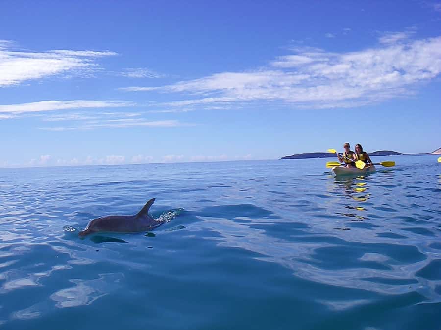 Noosa: Epic Ocean Kayak with Dolphins & 4WD Beach Adventure - Reaching Double Island Point and Honeymoon Bay