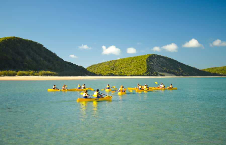 Noosa: Epic Ocean Kayak with Dolphins & 4WD Beach Adventure - Wildlife watching without chasing the animals