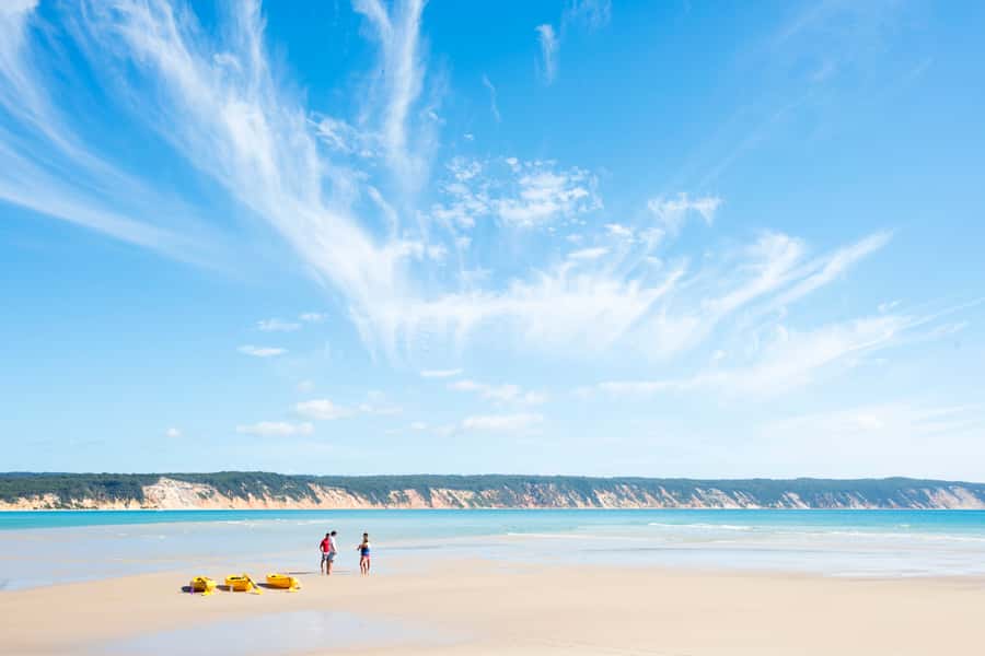 Noosa: Epic Ocean Kayak with Dolphins & 4WD Beach Adventure - What the $118 price includes