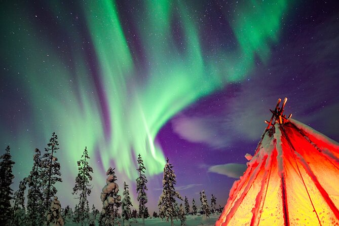Northern Lights Wilderness Small-Group Tour from Rovaniemi - Five useful things to know before booking