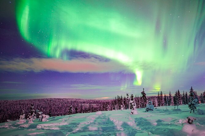 Northern Lights Wilderness Small-Group Tour from Rovaniemi - Leaving Rovaniemi for darker skies