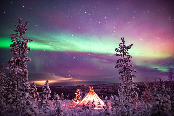Northern Lights Wilderness Small-Group Tour from Rovaniemi - Campfire warmth and Finnish snacks