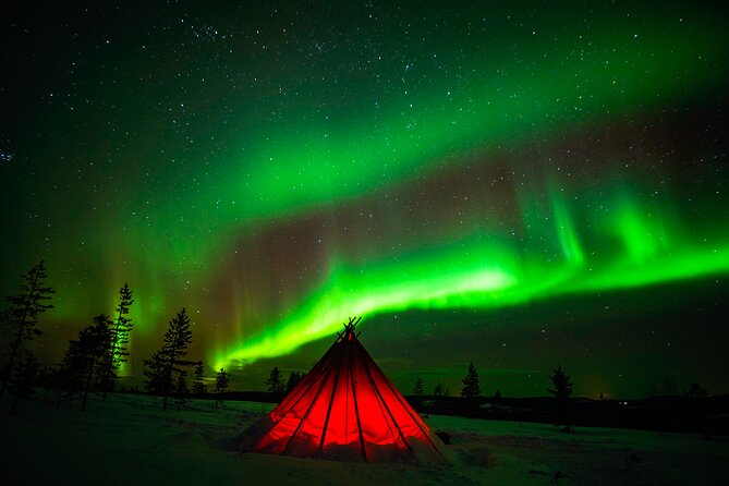 Northern Lights Wilderness Small-Group Tour from Rovaniemi - Why the small group matters