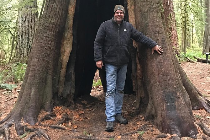 Olympic National Park Day Tour from Seattle - Hurricane Ridge brings the big views