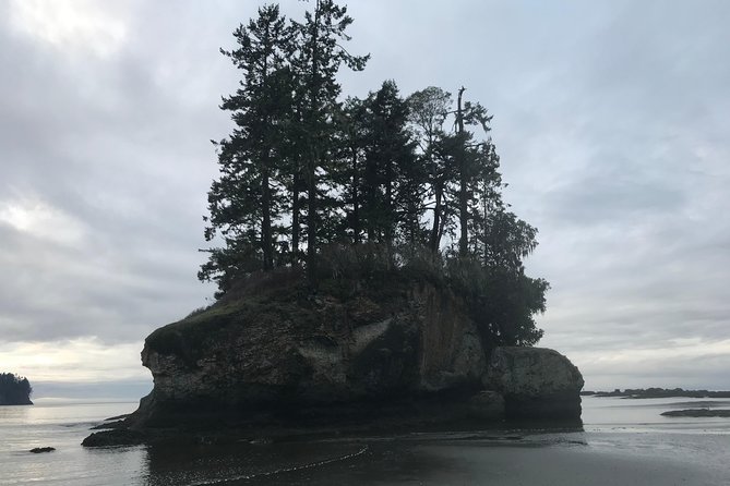 Olympic National Park Day Tour from Seattle - Beaches, tide pools, and the Dungeness choice