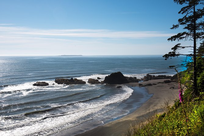 Olympic National Park Day Tour from Seattle - Elwha River adds a lesson in restoration