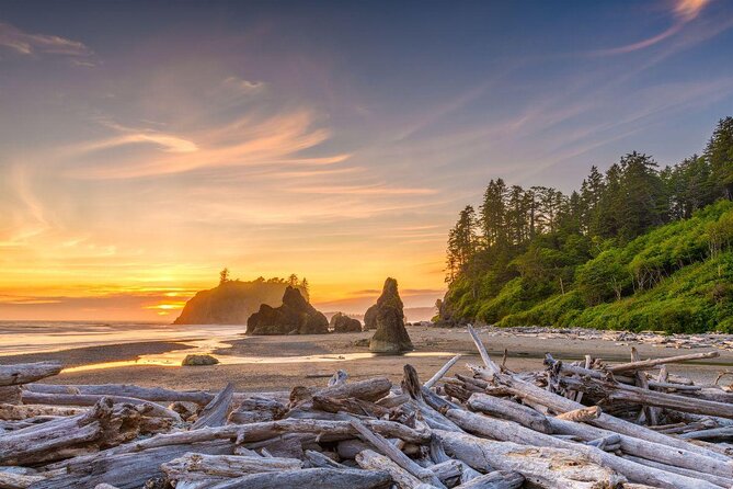 Olympic National Park Small Group Day Tour w/Scenic Ferry 2CanGo - Key things to know before booking