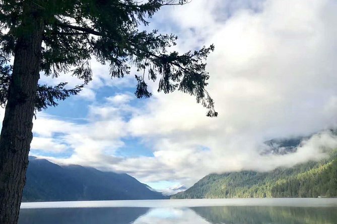 Olympic National Park Small Group Day Tour w/Scenic Ferry 2CanGo - Why this Seattle day trip makes sense