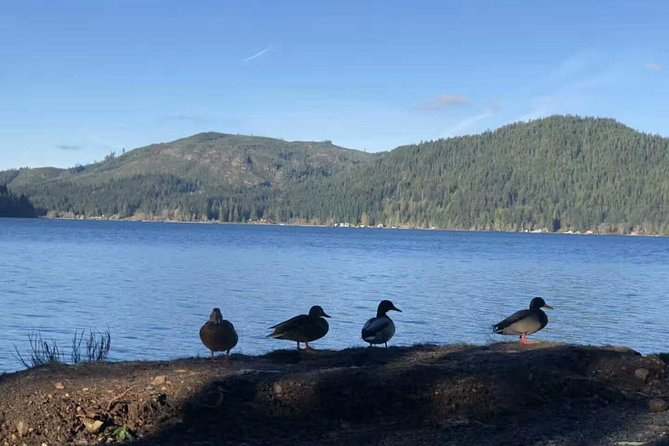 Olympic National Park Small Group Day Tour w/Scenic Ferry 2CanGo - The return journey and ferry timing