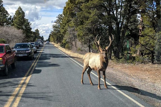One-Day Private Grand Canyon National Park/Sedona tour from Phoenix-Scottsdale - Camp Verde starts and ends the road day