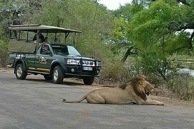Open Vehical Safari in Kruger National Park Half Day - Six hours where the animals call the shots
