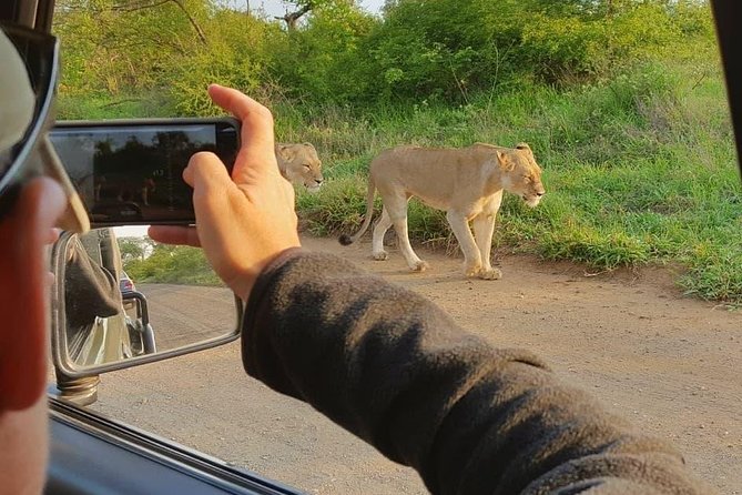 Open Vehical Safari in Kruger National Park Half Day - Inside the open vehicle